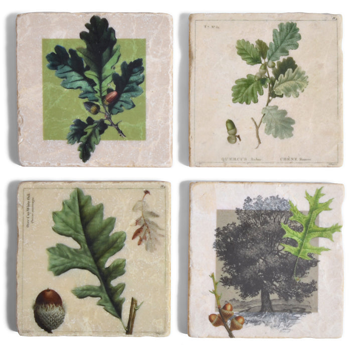 Leaves and Acorns Tumbled Marble Coasters, Set of 4
