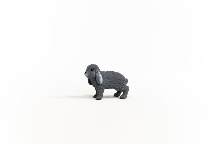 Lop-Eared Rabbit