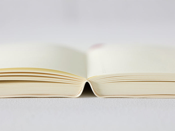 Midori MD Notebook Diary 2026 - 1 Day 1 Page