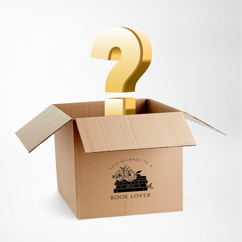 Medium Book Lover Mystery Box