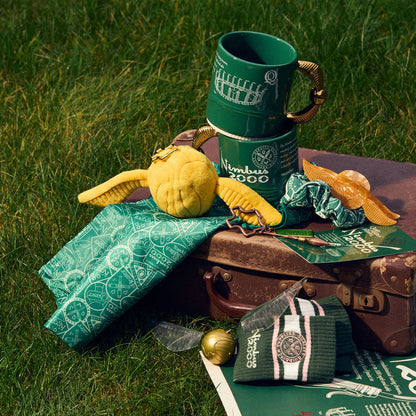 Nimbus 2000 mug with text, Golden Snitch plush, and various Quidditch accessories on grass