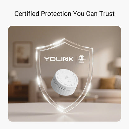 Photoelectric Smoke Alarm