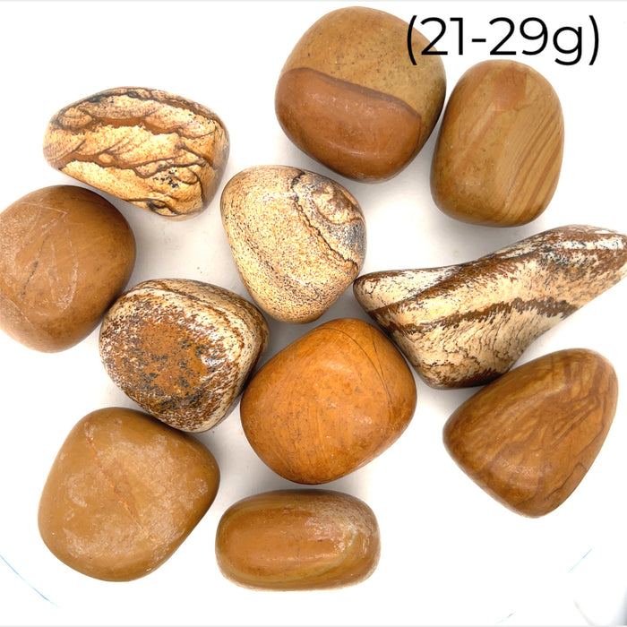Picture Jasper tumbled Gemstones