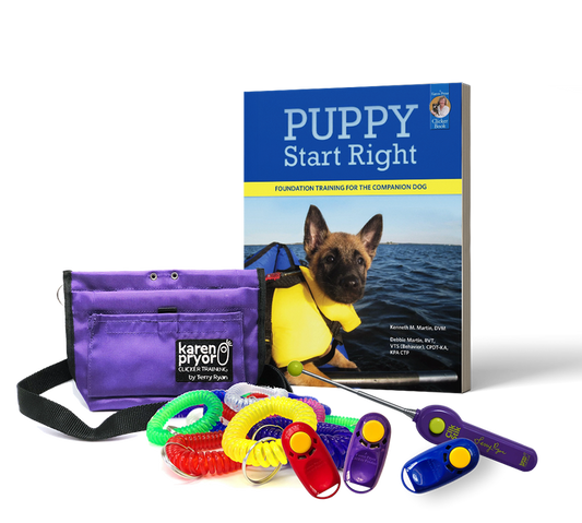 Puppy Adoption Training Kit