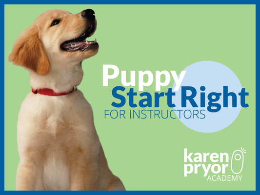 Puppy Start Right Video Access Code