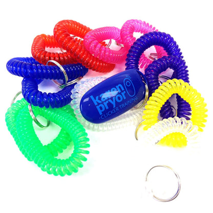 Rainbow Color Wrist Coil