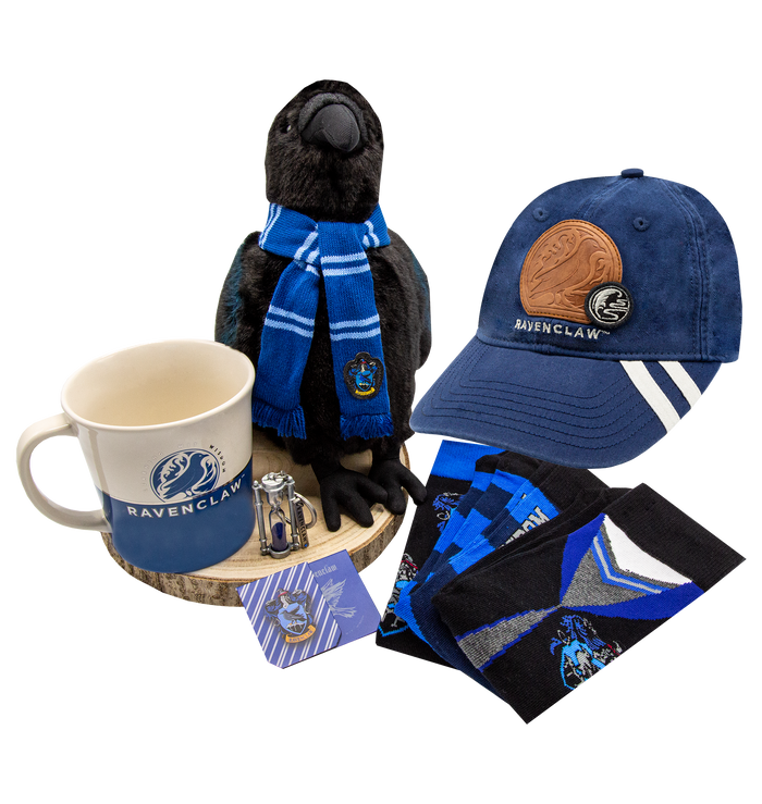Ravenclaw House Pride Set