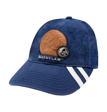 Ravenclaw House Pride Set