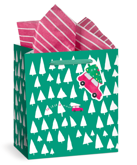 E. Frances Paper Red Stripe Tissue Paper