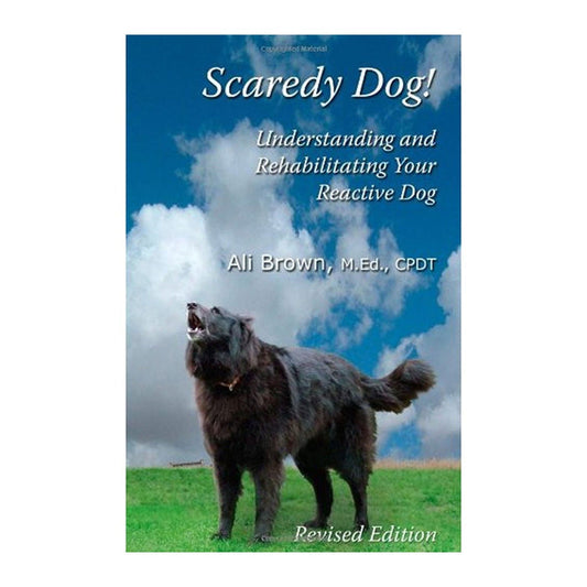 Scaredy Dog by Ali Brown NY 2026
