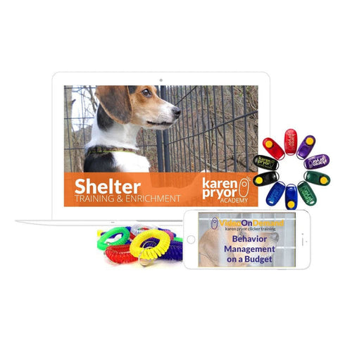 Shelter Training & Enrichment: Platinum Bundle