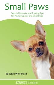 Small Paws by Sarah Whitehead