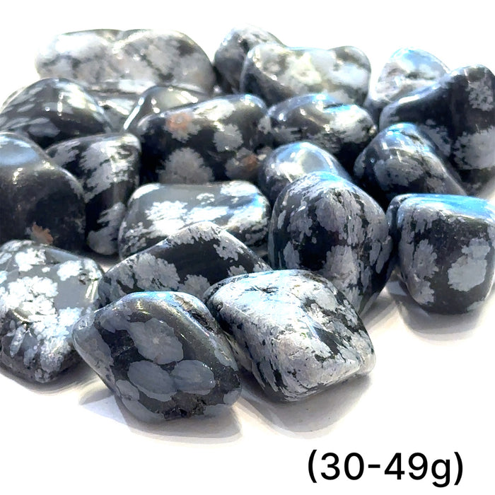 Snowflake Obsidian Tumbled Stone — Reiki Charged & Intuitively Selected