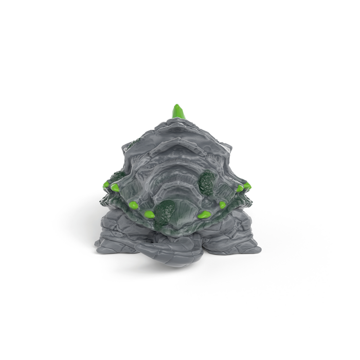 Stone Turtle