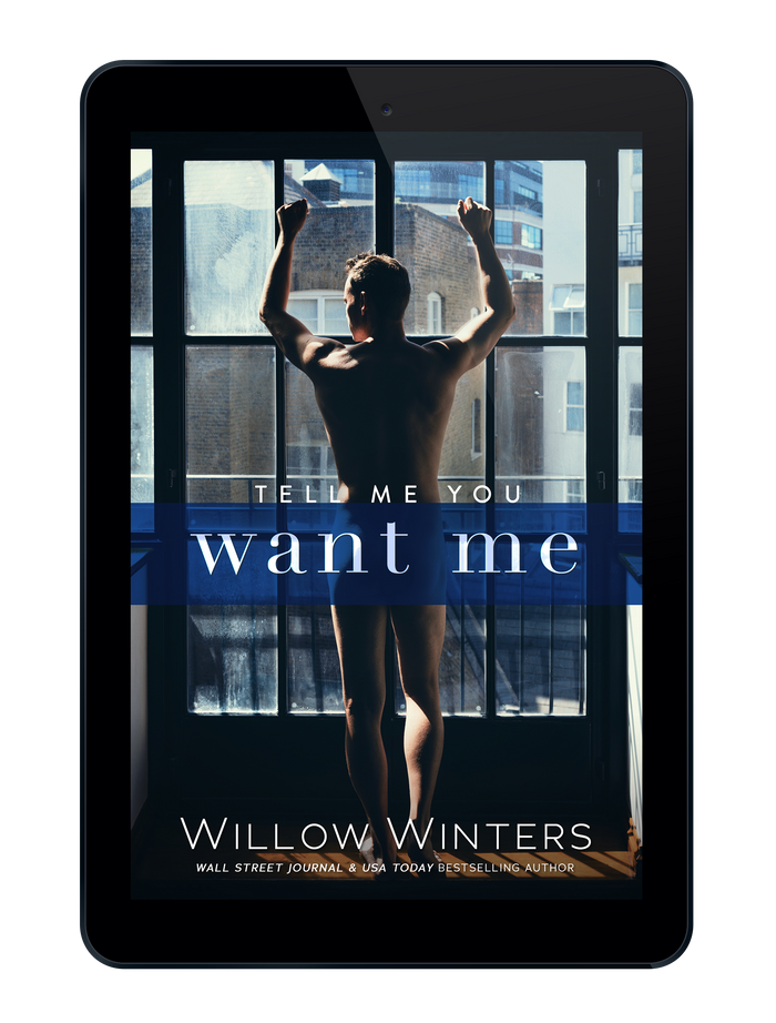 Tell Me You Want Me | A NYC Billionaire , Office Standalone Romance