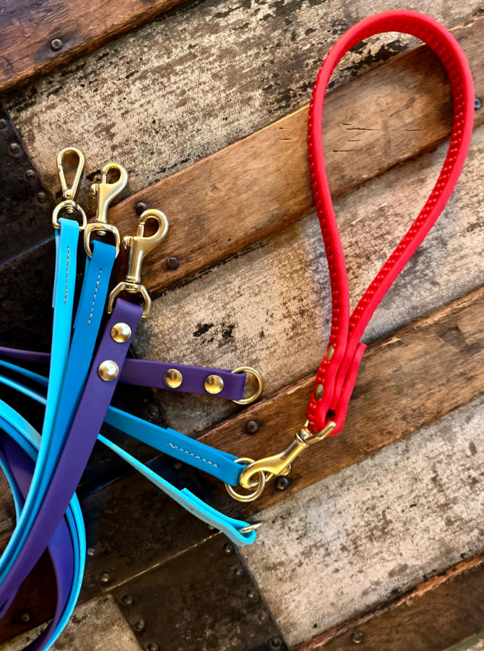 The Handle by Trailblazing Tails