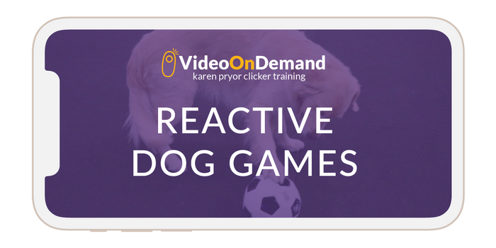 The Reactive Dog: Instructors Bundle
