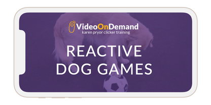 The Reactive Dog: Instructors Bundle