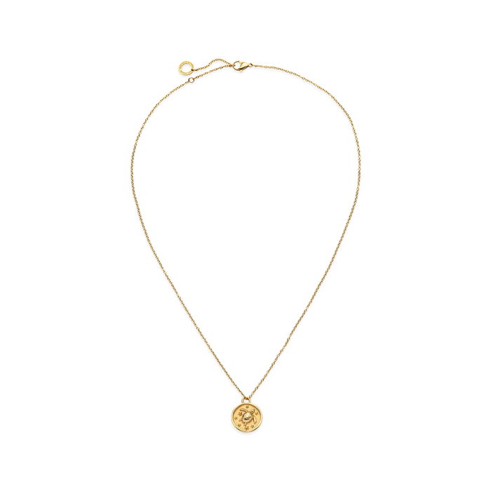 Turtle Coin Halskette Gold