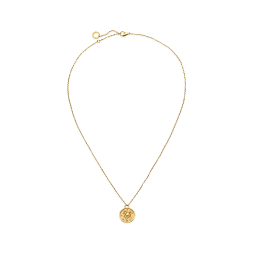 Turtle Coin Halskette Gold
