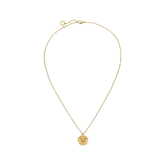 Turtle Coin Halskette Gold