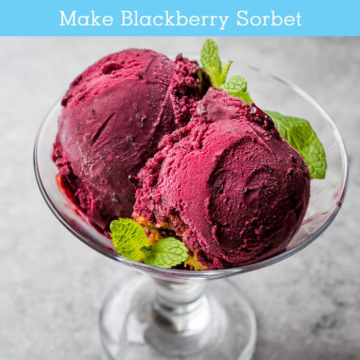 Two scoops of blackberry sorbet in a glass bowl with mint leaves on a light background. - Buy Now Cream & Dessert Maker + Black 15L Mini Fridge