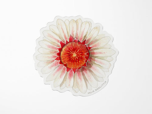 Victoria Water Lily Vinyl Sticker