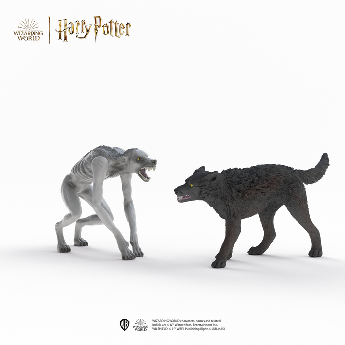 Werewolf vs. Animagus