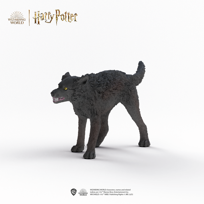 Werewolf vs. Animagus