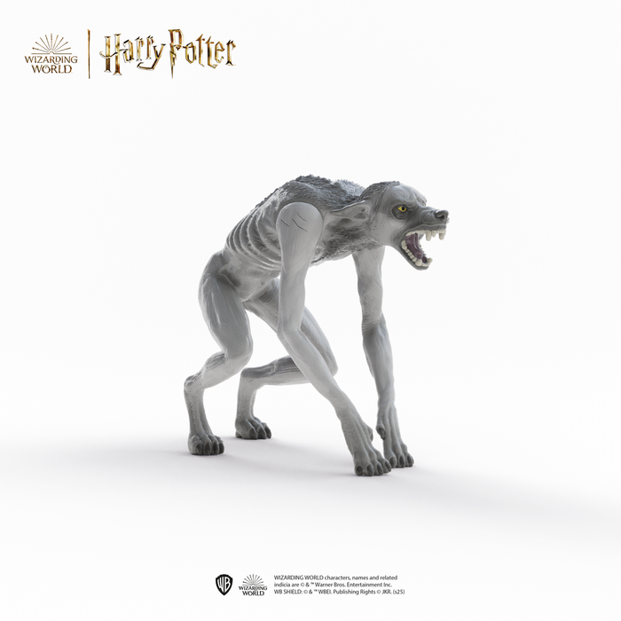 Werewolf vs. Animagus