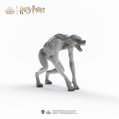 Werewolf vs. Animagus