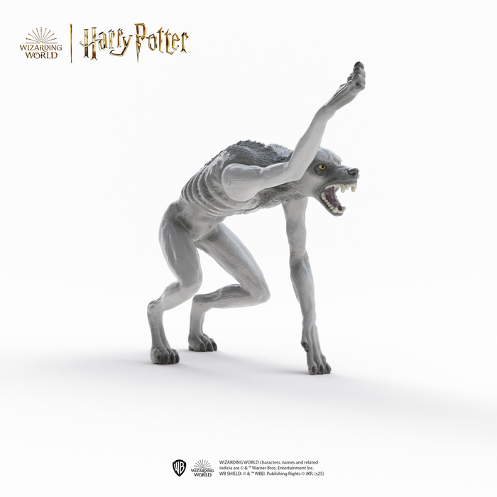 Werewolf vs. Animagus