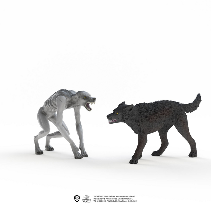 Werewolf vs. Animagus