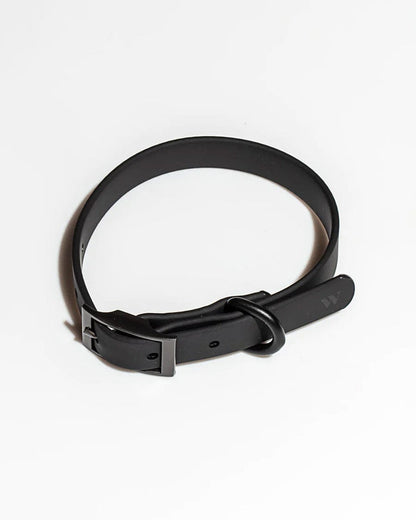 Black / XS Custom Wild One Pet Collar - Corporate Gifts