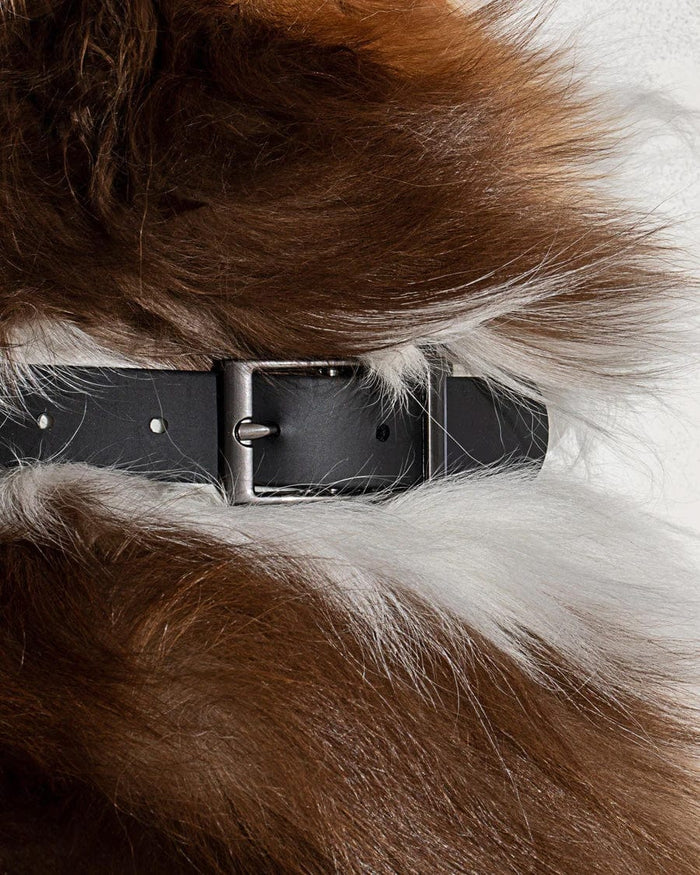 Custom Wild One Pet Collar - Corporate Gifts
