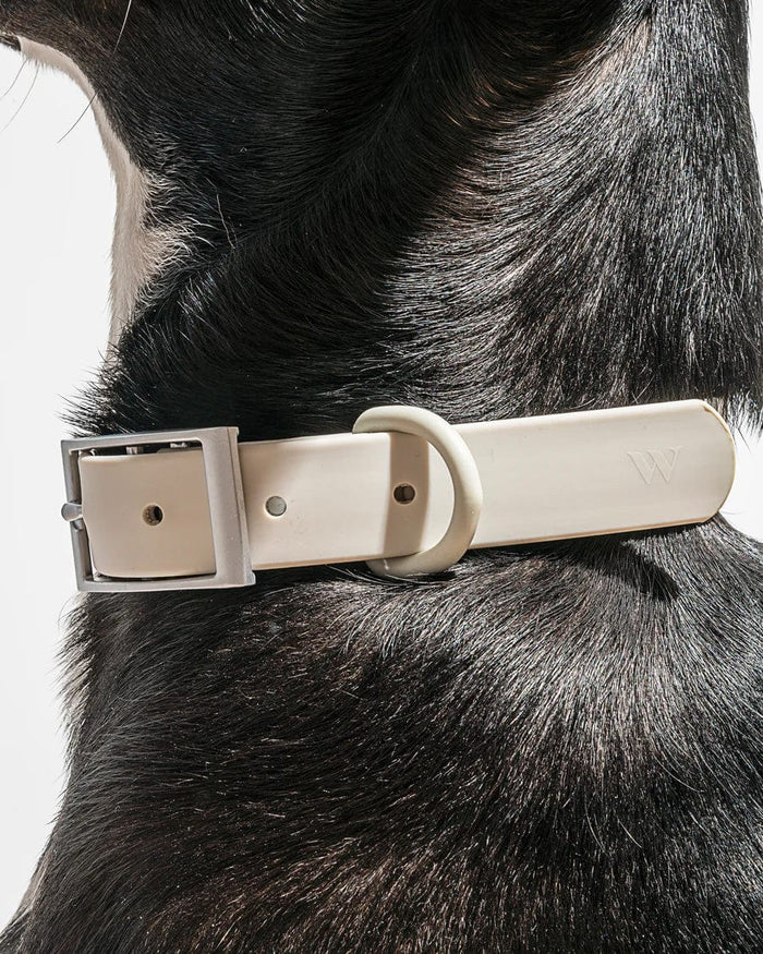 Custom Wild One Pet Collar - Corporate Gifts
