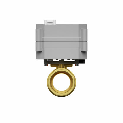 X3 Valve Controller & 1-1/4-Inch DN Series Brass Motorized Valve