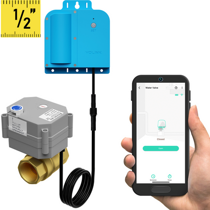 X3 Valve Controller & 1/2-Inch DN Series Brass Motorized Valve