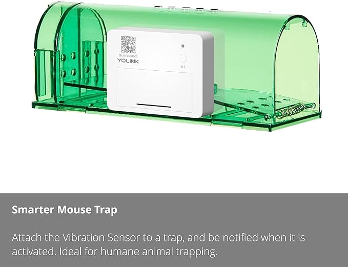 smarter mouse trap